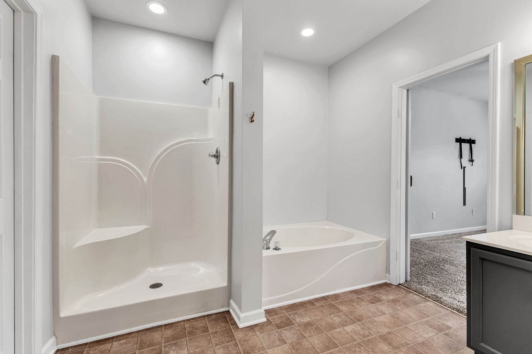 1019 Briggs Lane Spring Hill, TN 37174 - Photo 20 of 40 a bathroom with a bathtub and a shower
