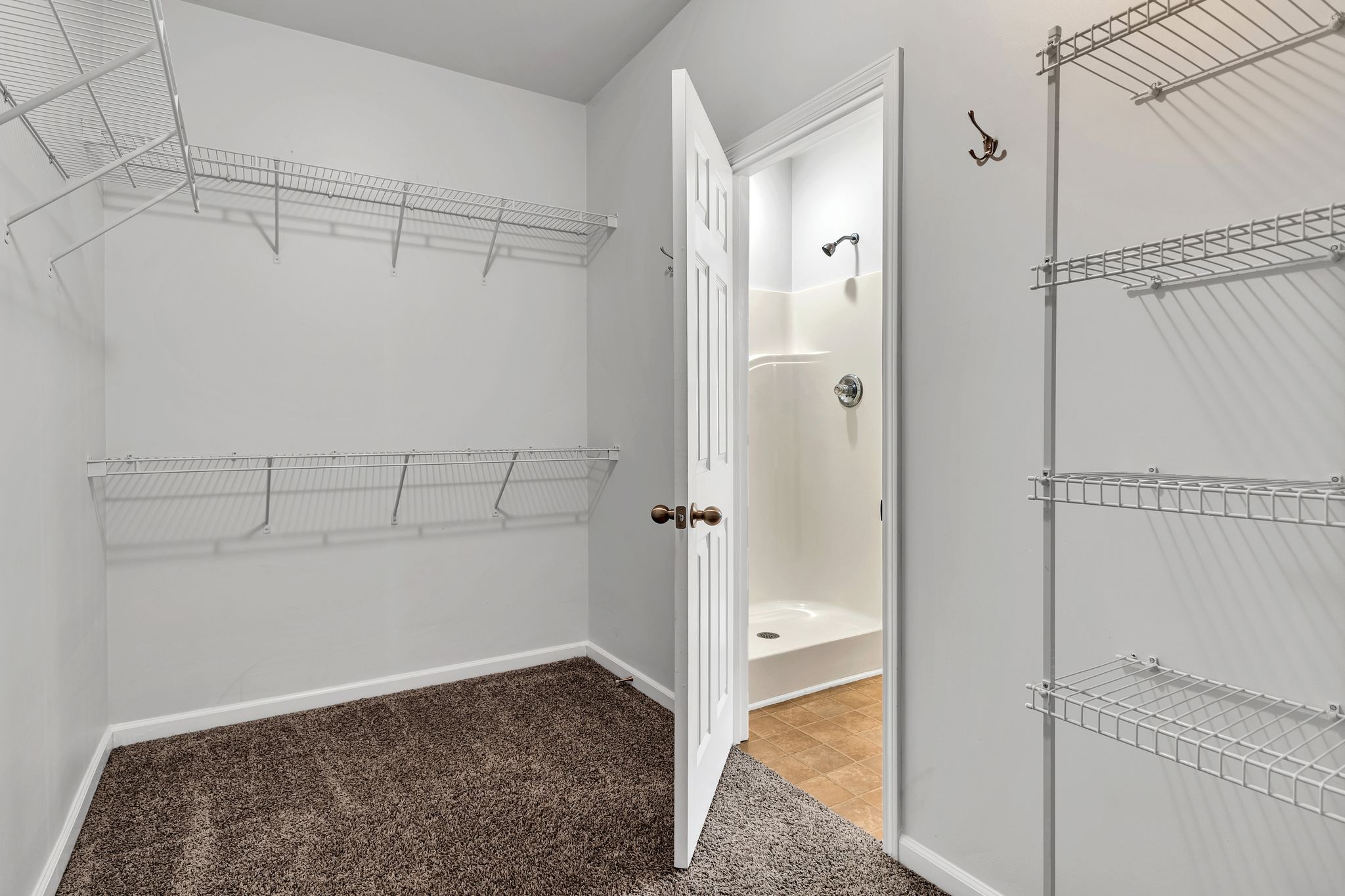 1019 Briggs Lane Spring Hill, TN 37174 - Photo 22 of 40 a view of walk in closet with empty racks