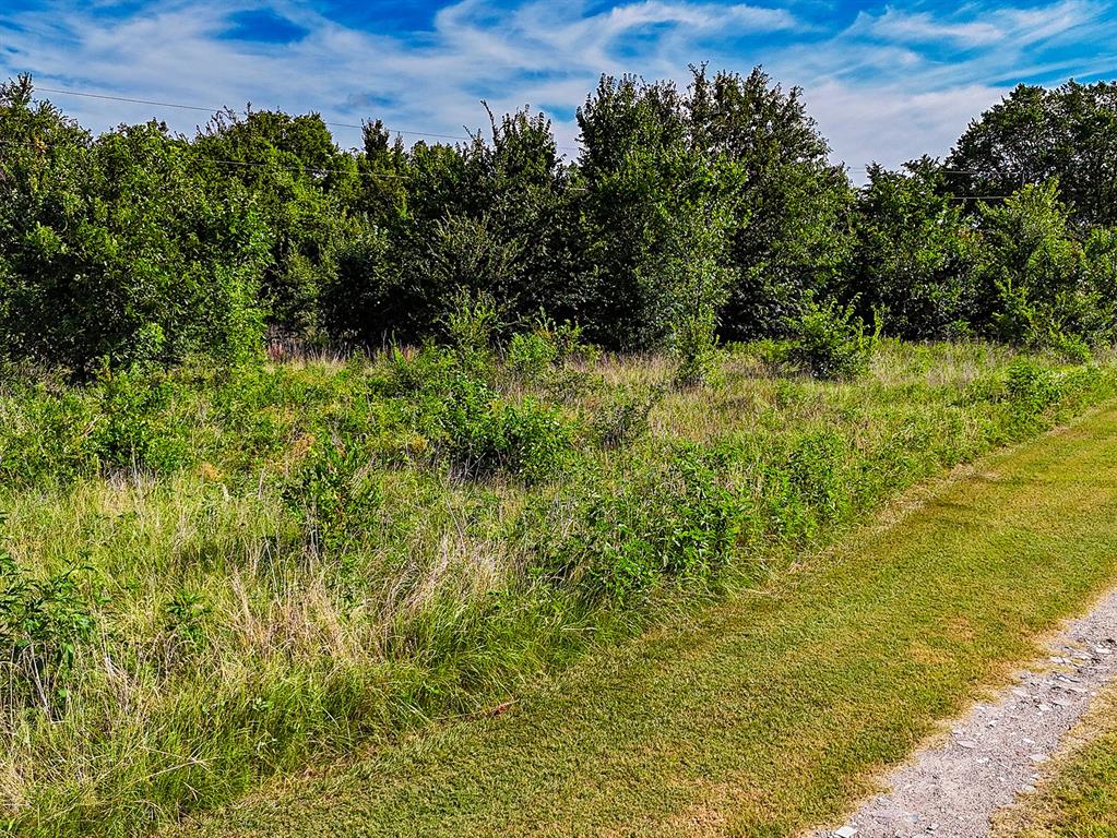 5830 Co Road Terrell, TX 75160 - Photo 7 of 11