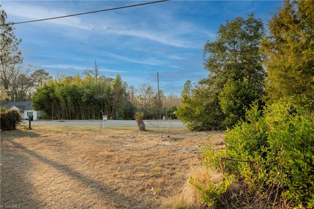 1952 Highway 220 Ellerbe, NC 28338 - Photo 17 of 18