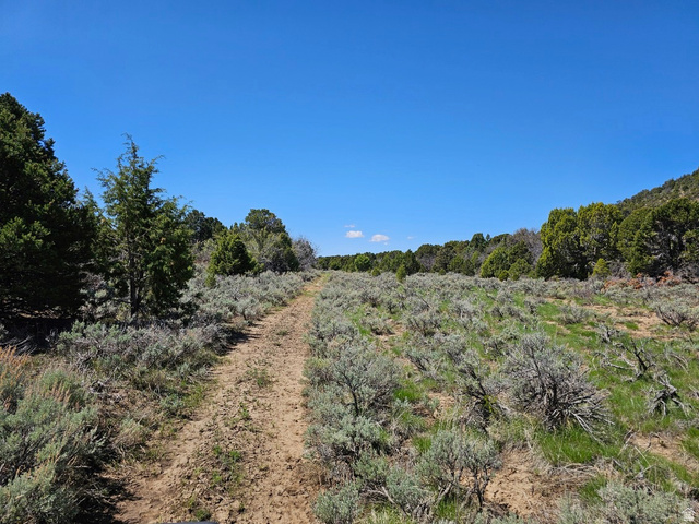 5 Mineral Springs Road Mount Carmel, UT 84755 - Photo 11 of 12