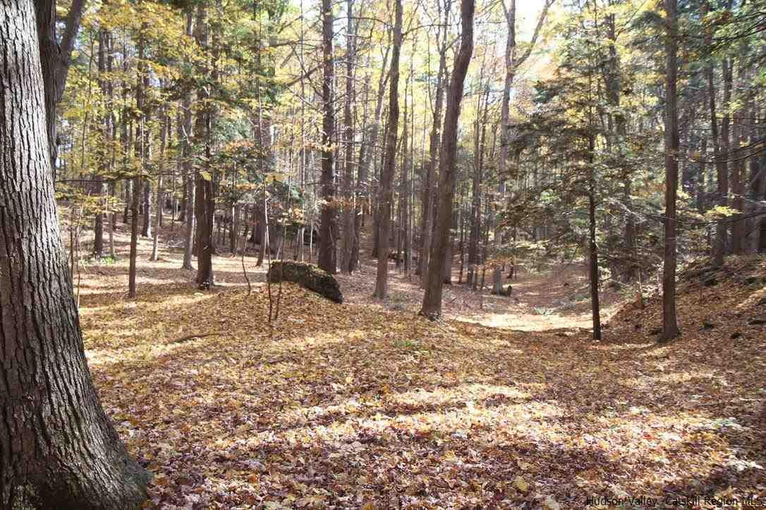 1 Arrowhead Rdg Road Saugerties, NY 12477 - Photo 17 of 30 Photo 18