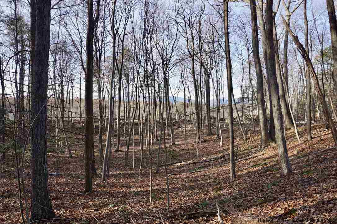 1 Arrowhead Rdg Road Saugerties, NY 12477 - Photo 27 of 30 Photo 28