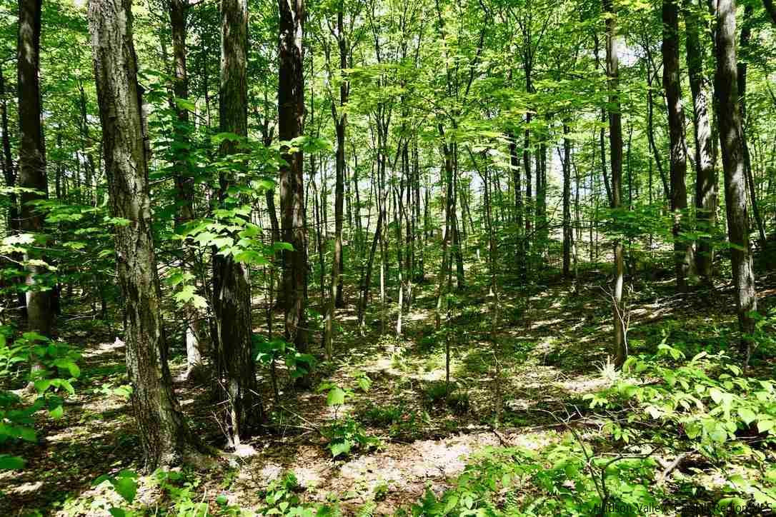 1 Arrowhead Rdg Road Saugerties, NY 12477 - Photo 8 of 30 Photo 9
