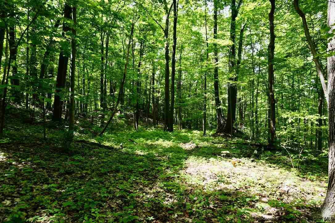 1 Arrowhead Rdg Road Saugerties, NY 12477 - Photo 10 of 30 Photo 11
