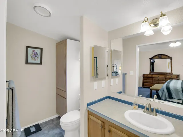 a bathroom with a sink a toilet and a mirror