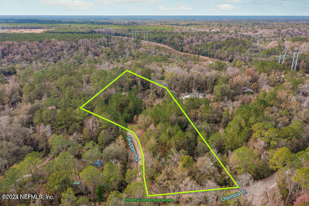 3923 Skipper Road Middleburg, FL 32068 - Photo 1 of 5 a view of a forest