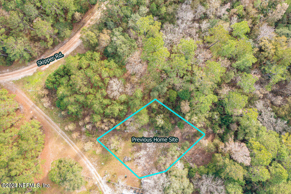 3923 Skipper Road Middleburg, FL 32068 - Photo 4 of 5 a picture of a tree in a backyard