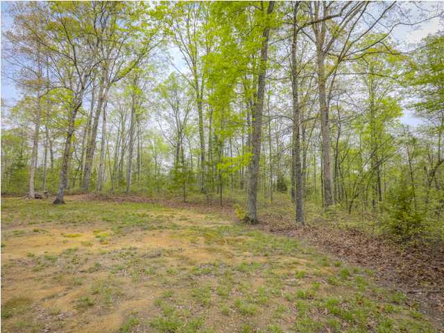 304 Bandy Road LaFayette, GA 30728 - Photo 30 of 36 Additional Photo