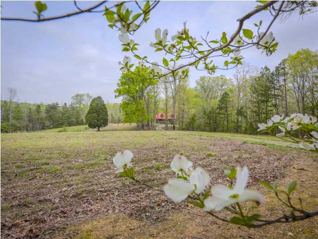 304 Bandy Road LaFayette, GA 30728 - Photo 32 of 36 Additional Photo