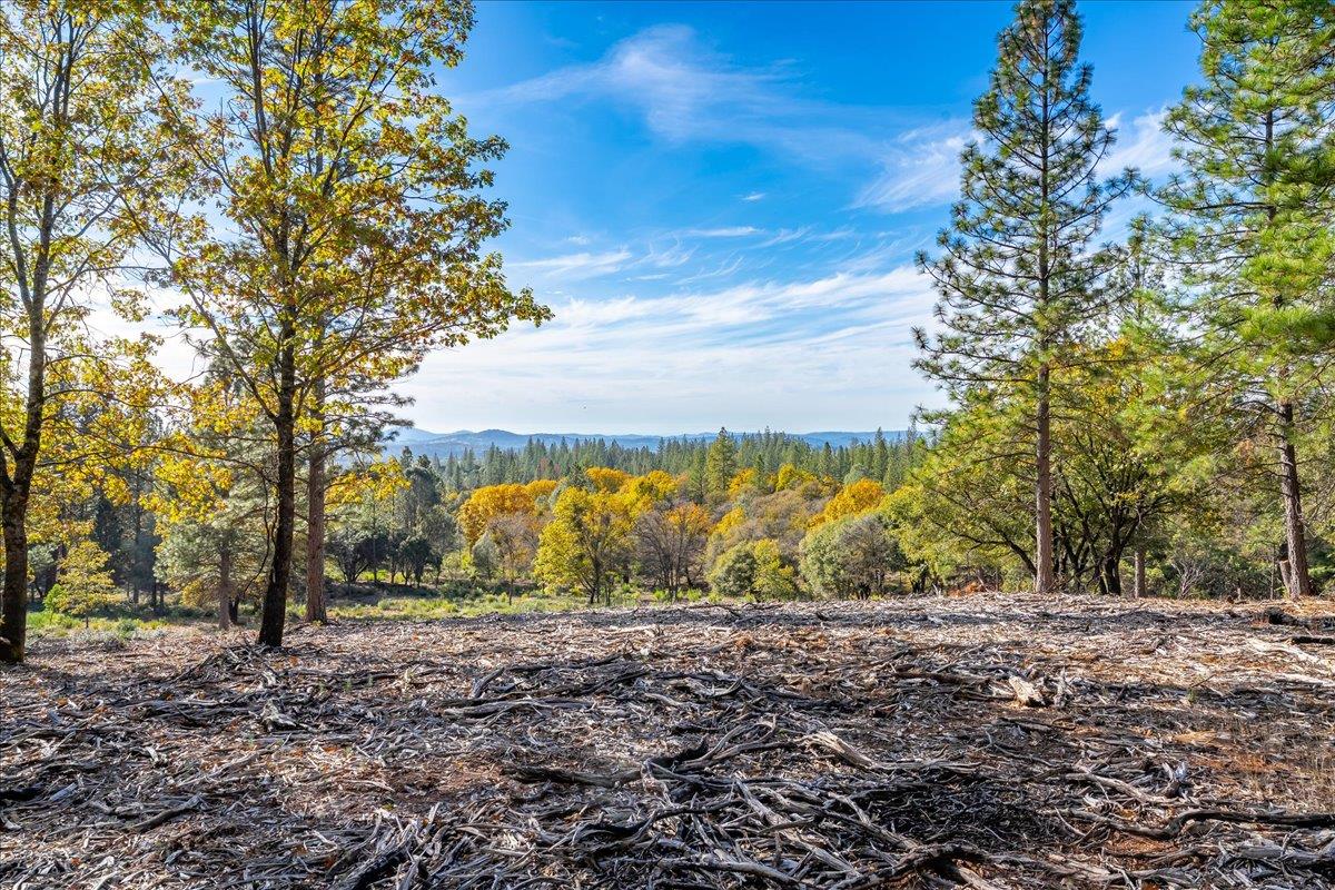 a view of outdoor space and yard