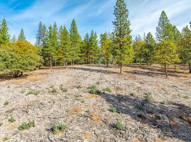 a view of empty yard