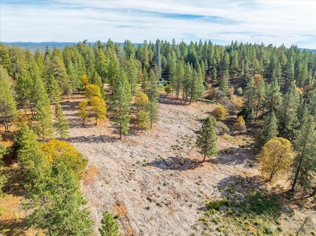 a view of a yard with trees in the background