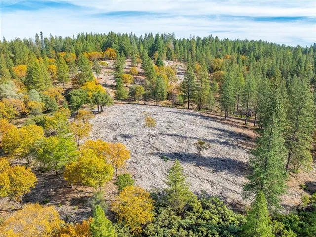 a view of a yard with trees