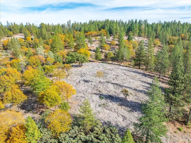 a view of a city with lush green forest