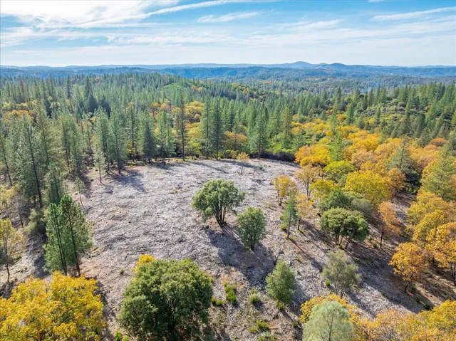 a view of a garden with mountain