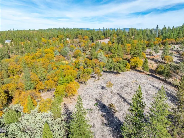 a view of a yard with an outdoor space
