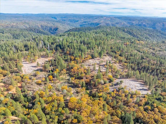 a view of a bunch of trees and houses