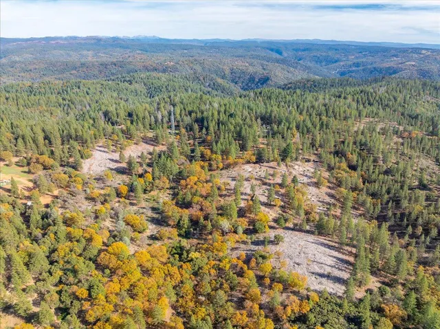 a view of a lush green field