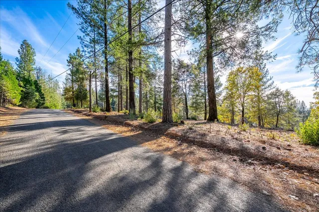 a view of street and trees