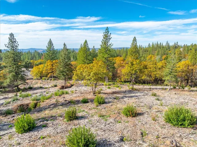 a view of a beach with a yard
