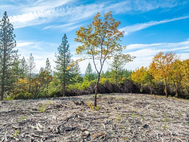 a backyard of a house with lots of green space