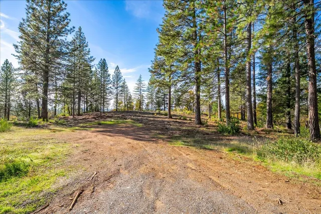 a view of a yard with swimming pool