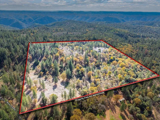 a view of wooden floor