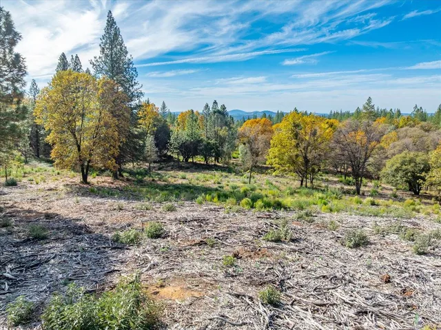 a view of a yard with a trees