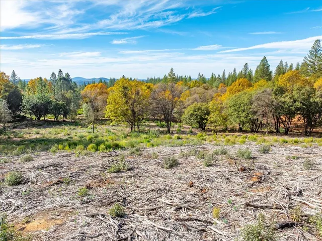 a view of a yard with an trees