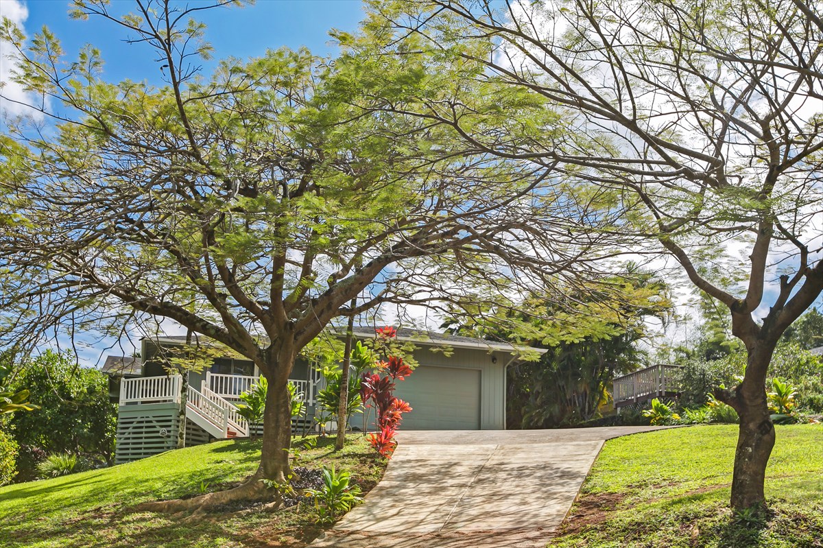 563 Puuopae Road, Unit 1 Kapaa, HI 96746 - Photo 1 of 1 a front view of a house with a yard and tree