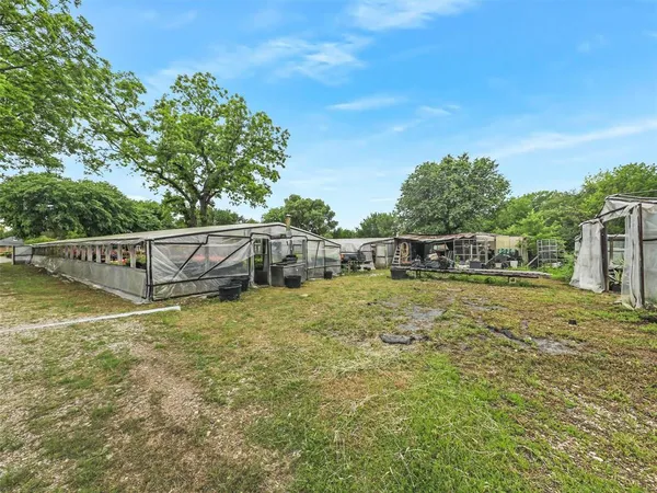 a view of a potted plants