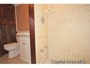 4948 Old Rte 36 Springfield, IL 62707 - Photo 20 of 20