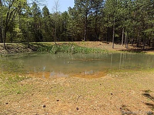 1125 Turkey Creek Ridge Road, Unit 19&20 York, SC 29745 - Photo 2 of 5