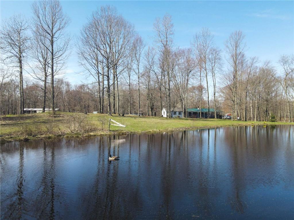 2687 Raymilton Road Utica, PA 16362 - Photo 1 of 43 a view of swimming pool with outdoor space and trees in the background