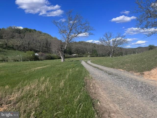 Tbd Shaffers Run Road Mill Creek, WV 26280 - Photo 17 of 43