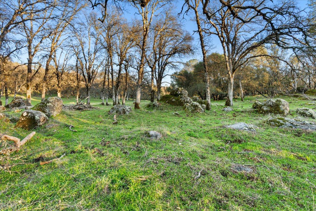14481 Oak Ridge Road Grass Valley, CA 95949 - Photo 14 of 46 a big yard with lots of green space and fountain