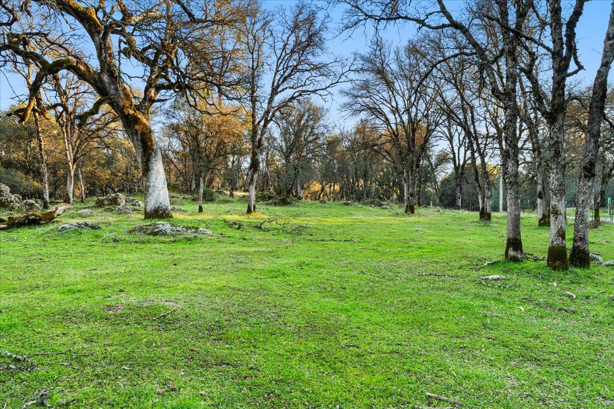 14481 Oak Ridge Road Grass Valley, CA 95949 - Photo 15 of 46 a green field with lots of trees