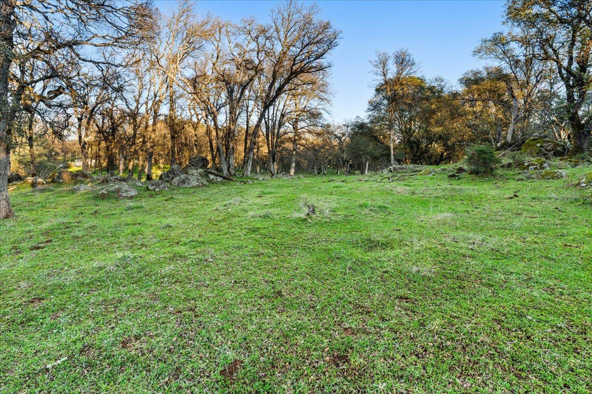 14481 Oak Ridge Road Grass Valley, CA 95949 - Photo 17 of 46 a view of yard with green space