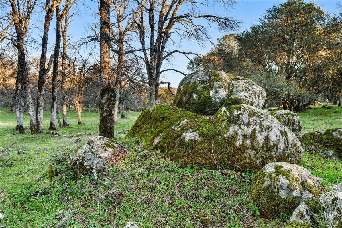 14481 Oak Ridge Road Grass Valley, CA 95949 - Photo 18 of 46 a backyard of a house with lots of green space