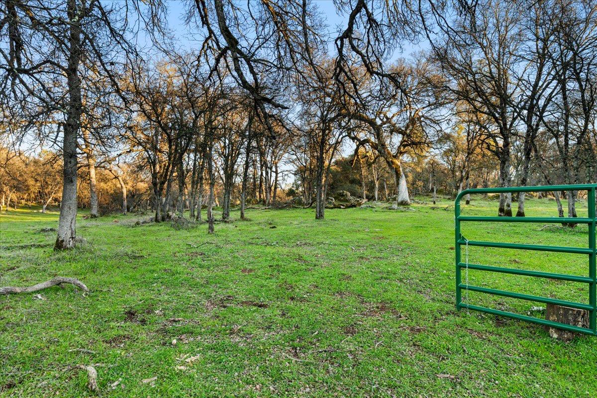 14481 Oak Ridge Road Grass Valley, CA 95949 - Photo 19 of 46 a view of park with trees