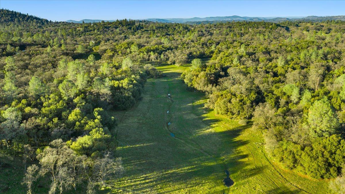 14481 Oak Ridge Road Grass Valley, CA 95949 - Photo 21 of 46 a view of a lake with a mountain in the background