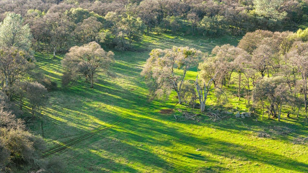 14481 Oak Ridge Road Grass Valley, CA 95949 - Photo 22 of 46 a view of a lake from a yard
