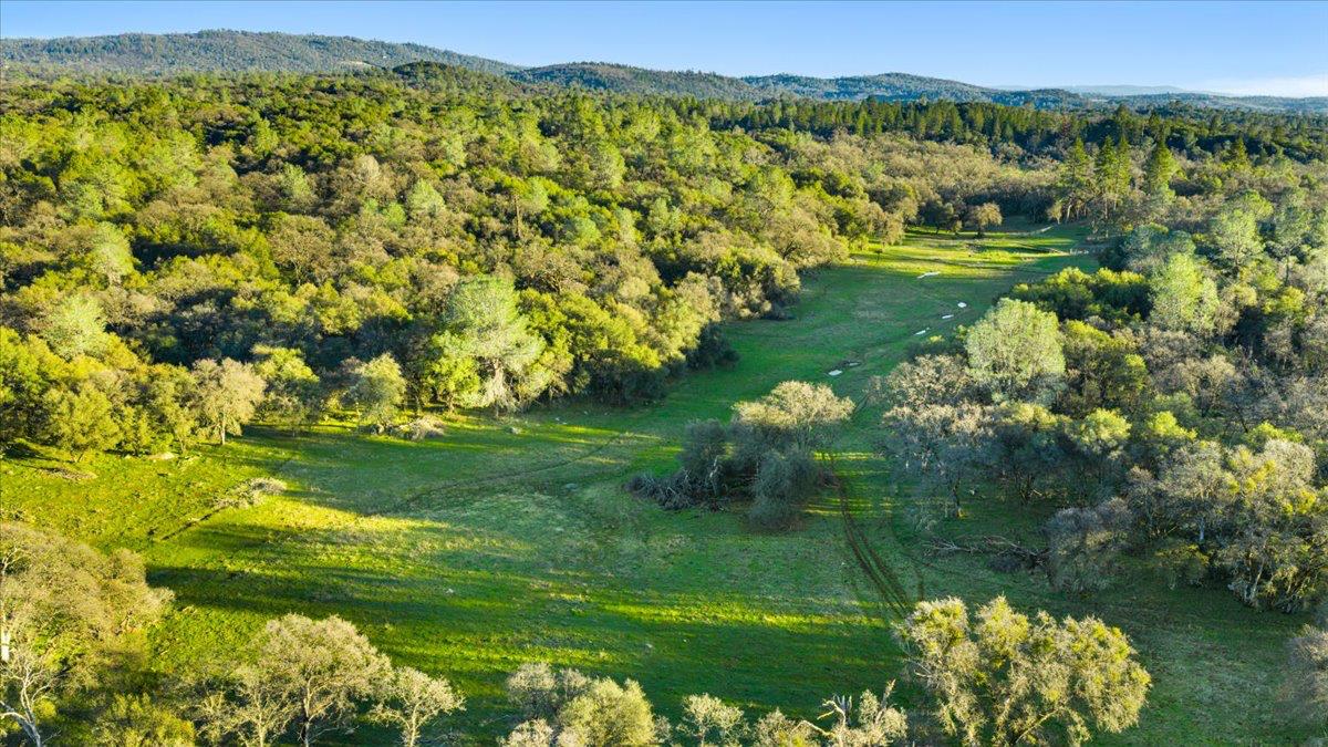 14481 Oak Ridge Road Grass Valley, CA 95949 - Photo 25 of 46