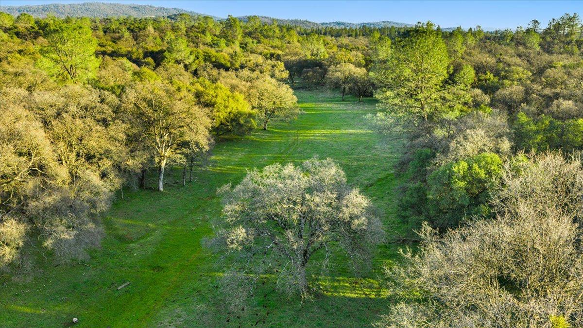 14481 Oak Ridge Road Grass Valley, CA 95949 - Photo 26 of 46 a view of a garden