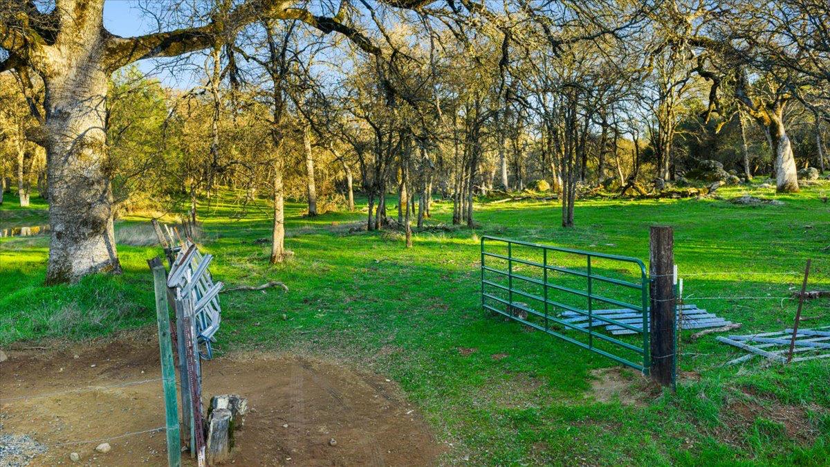 14481 Oak Ridge Road Grass Valley, CA 95949 - Photo 27 of 46 a view of a park with plants and trees