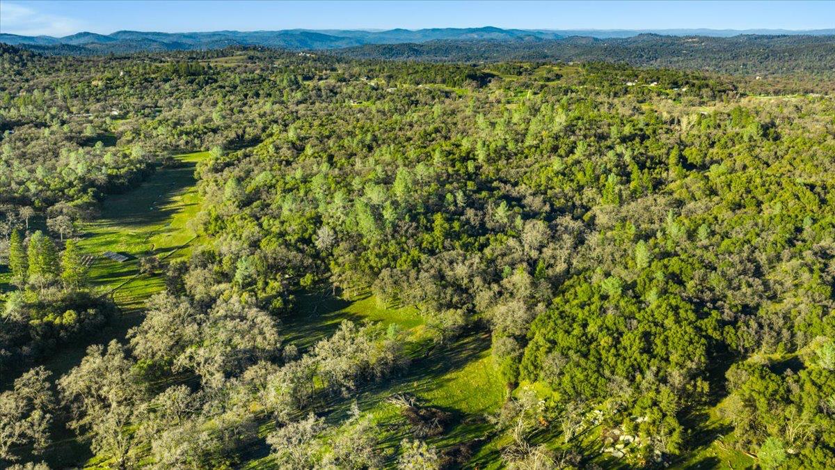 14481 Oak Ridge Road Grass Valley, CA 95949 - Photo 28 of 46 a view of a green field with lots of bushes