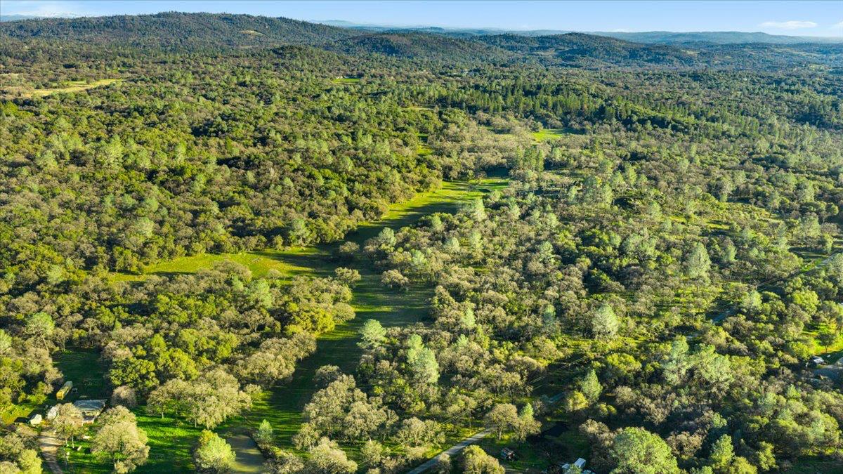 14481 Oak Ridge Road Grass Valley, CA 95949 - Photo 37 of 46 a view of a big yard with green space