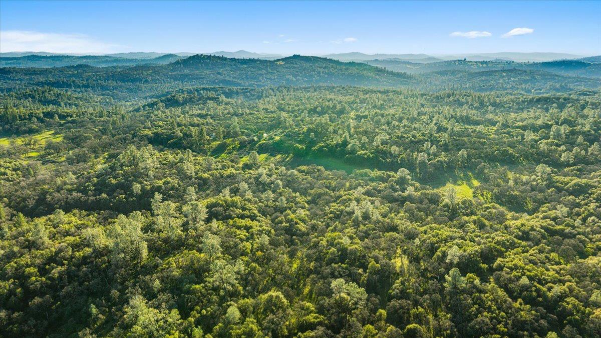 14481 Oak Ridge Road Grass Valley, CA 95949 - Photo 39 of 46 a view of a lush green hillside and a houses