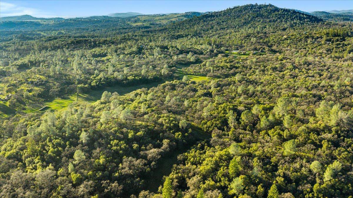 14481 Oak Ridge Road Grass Valley, CA 95949 - Photo 42 of 46 a view of a green field